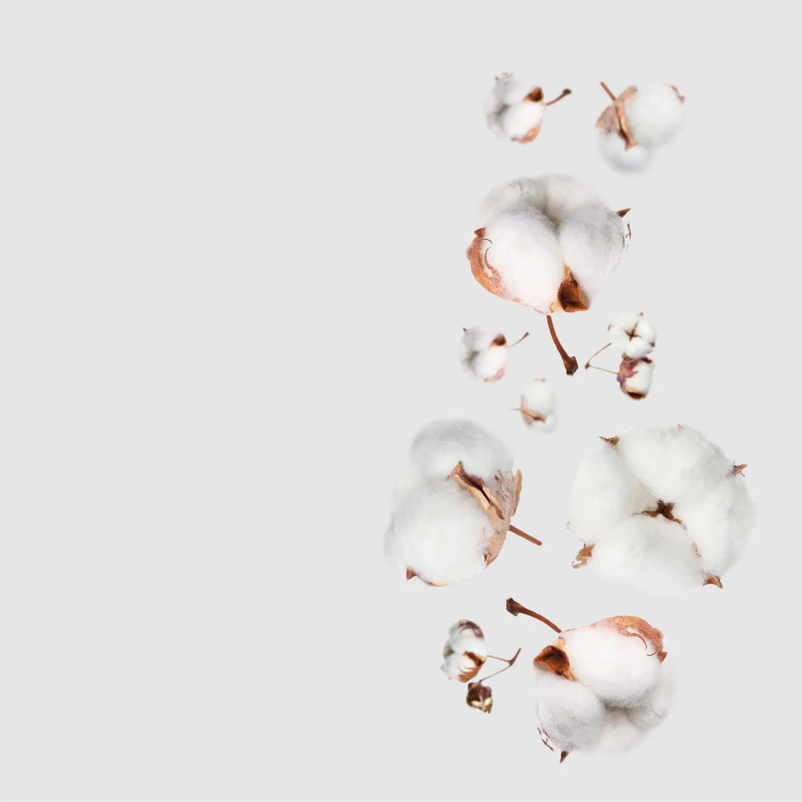 NO. 25 Fragrance Oil for Soaps & Candles - Clean Cotton - Image 2