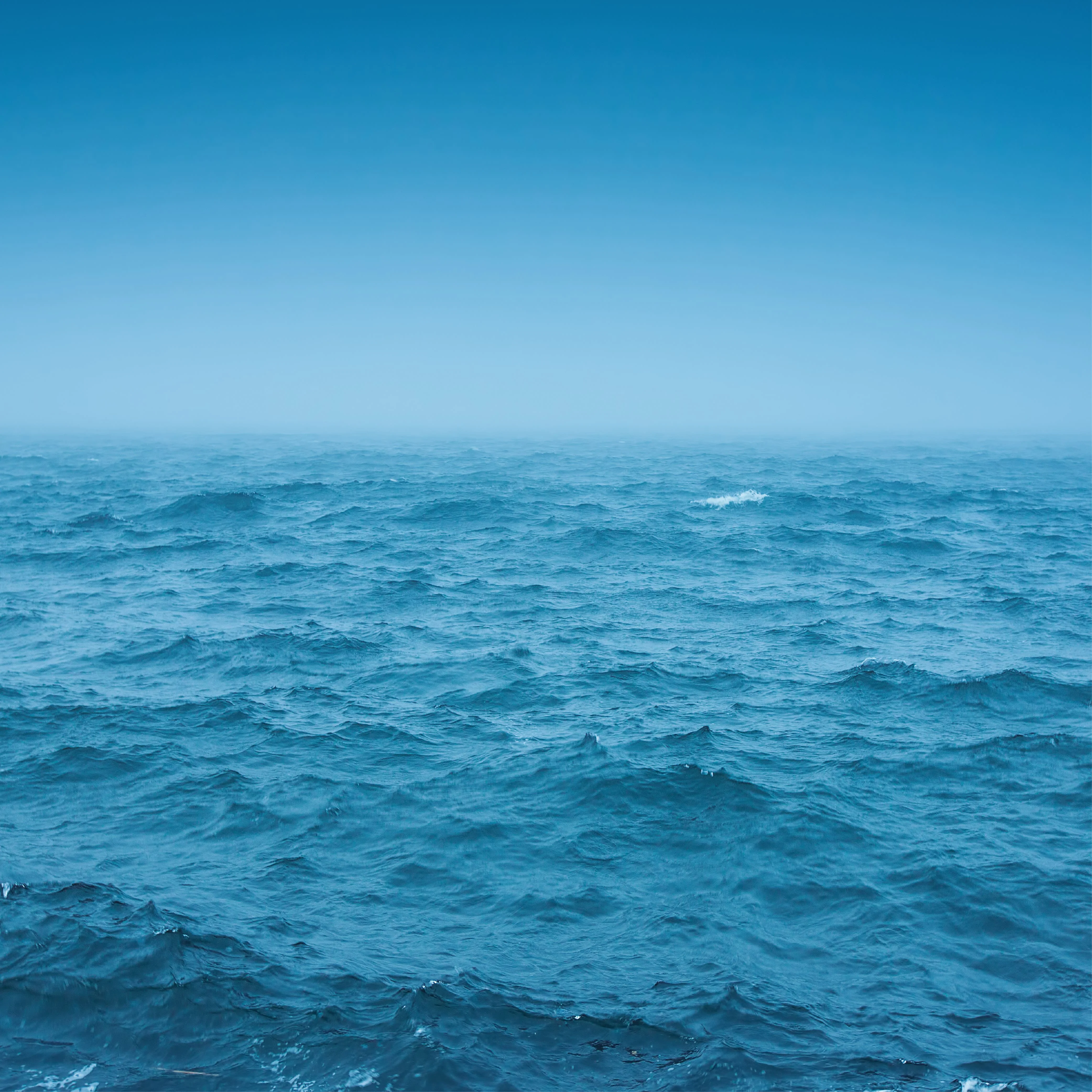 NO. 56 Fragrance Oil for Soaps & Candles - Ocean Rain - Image 2