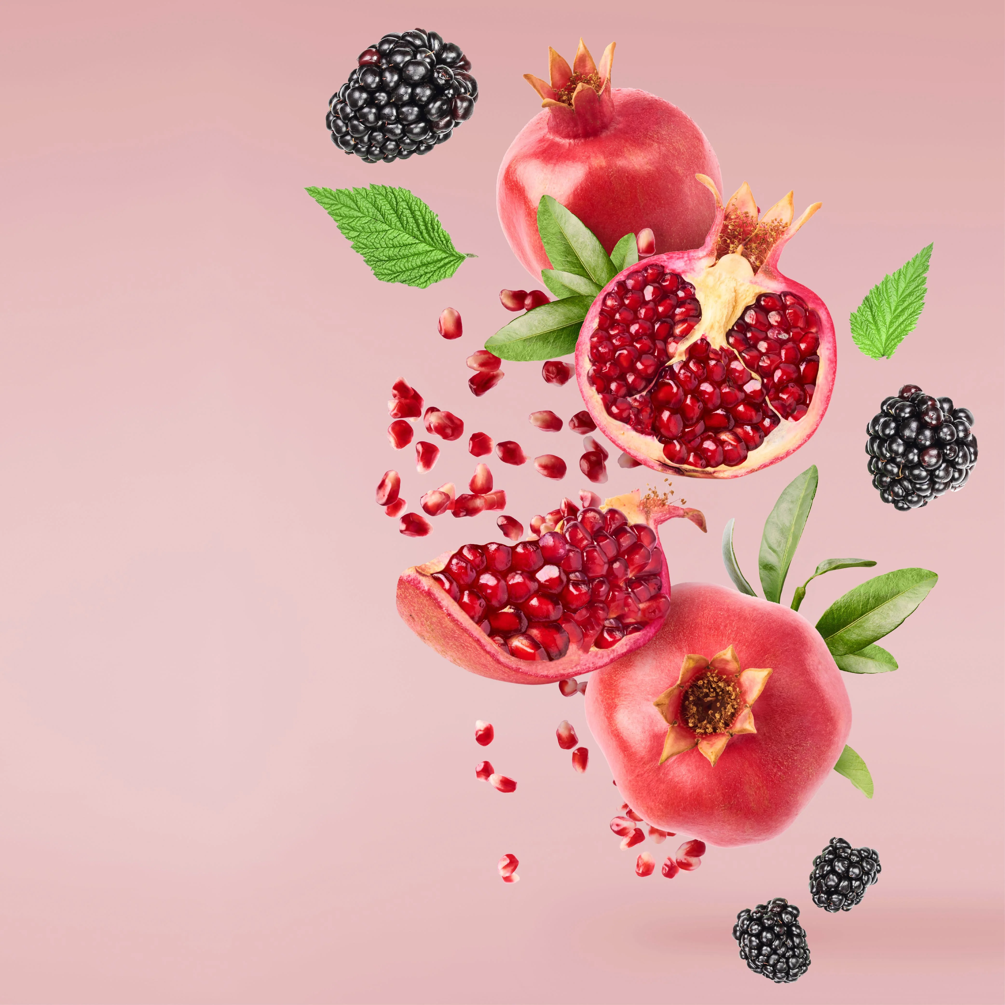 NO. 64 Fragrance Oil for Soaps & Candles - Pomegranate Blackberry - Image 2